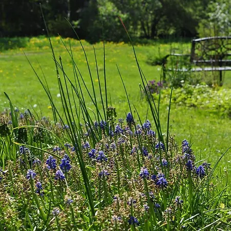 Mokko Country Guest house