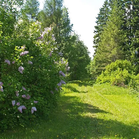 Guest house Mokko Country 4*