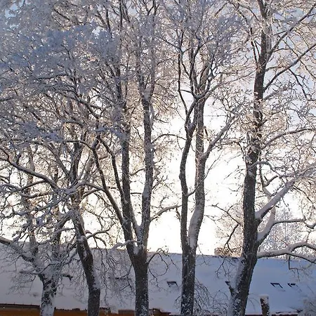 Mokko Country Guest house 4*