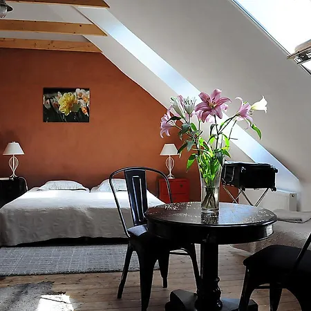 Mokko Country Guest house 4*