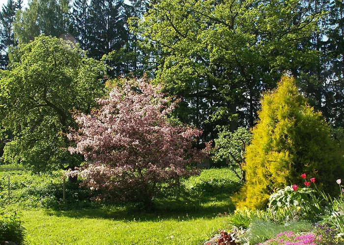 بيت ضيافة Mokko Country Palamuse