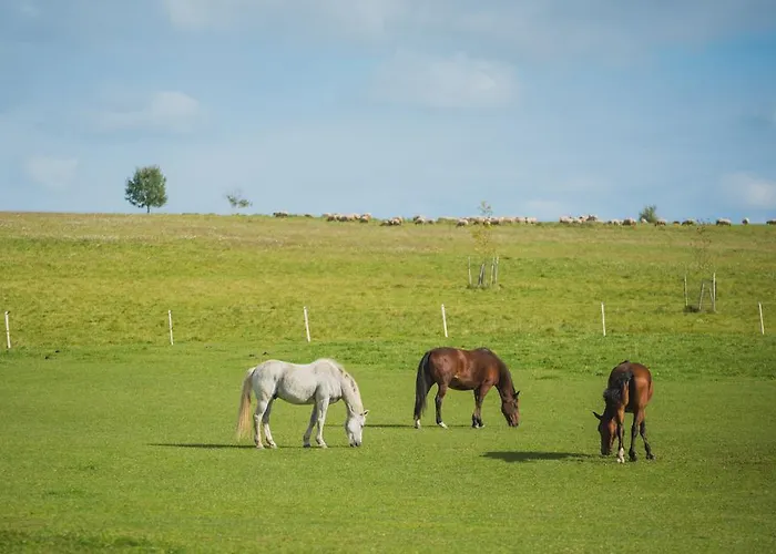 Mokko Country Palamuse