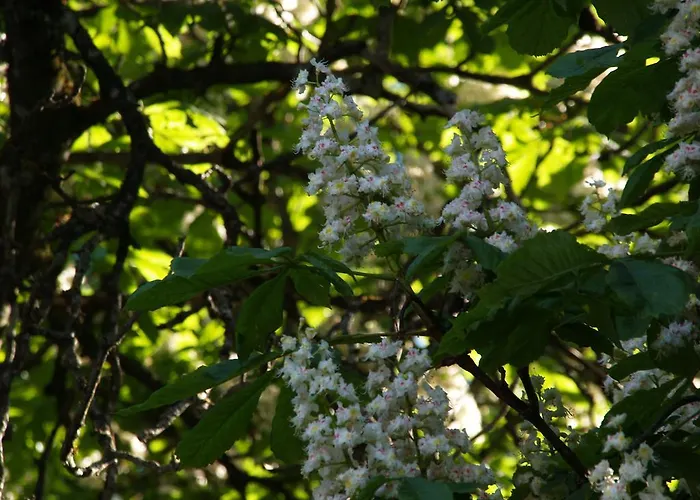 Mokko Country بيت ضيافة