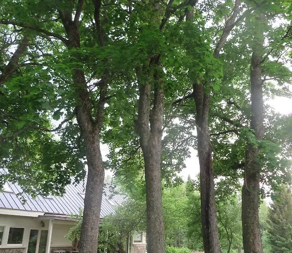 Mokko Country بيت ضيافة Palamuse