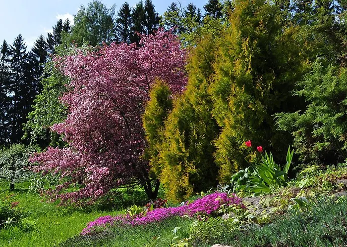 Mokko Country Palamuse