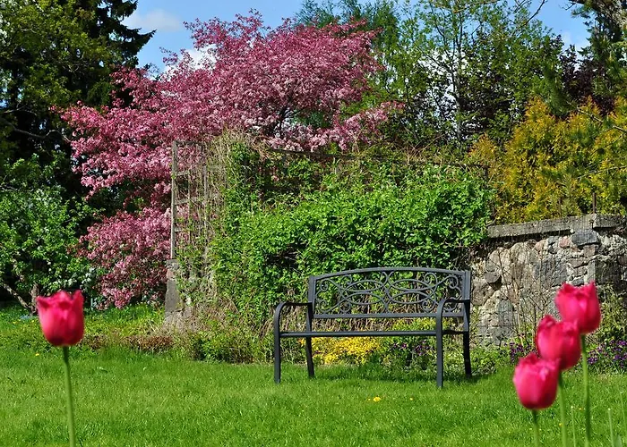 Mokko Country بيت ضيافة Palamuse