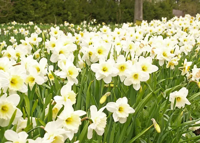 بيت ضيافة Mokko Country 4*