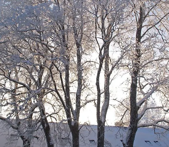 Mokko Country بيت ضيافة 4*